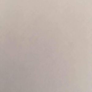 Meet your Posher, Wanda